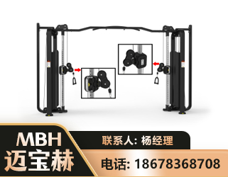 玉树大飞鸟训练器