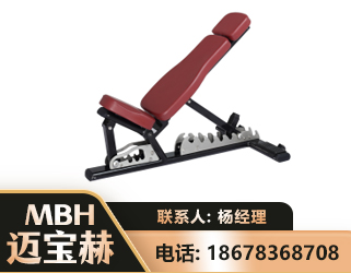 玉树可调哑铃椅